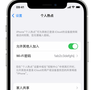 连江apple服务站点分享iPhone上个人热点丢失了怎么办 