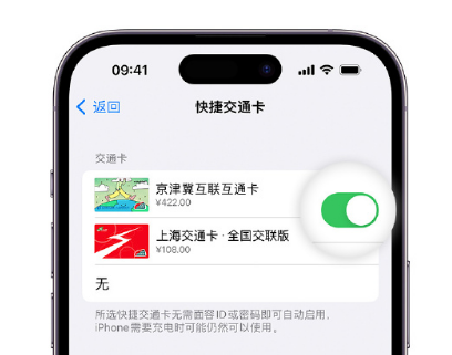 连江apple维修点分享iPhone上更换Apple Pay快捷交通卡手绘卡面 