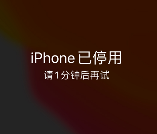 连江苹果手机维修分享:iPhone 显示“不可用”或“已停用”怎么办？还能保留数据吗？ 