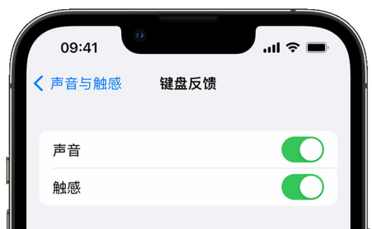 连江苹果手机维修分享iPhone 14触感键盘使用方法 