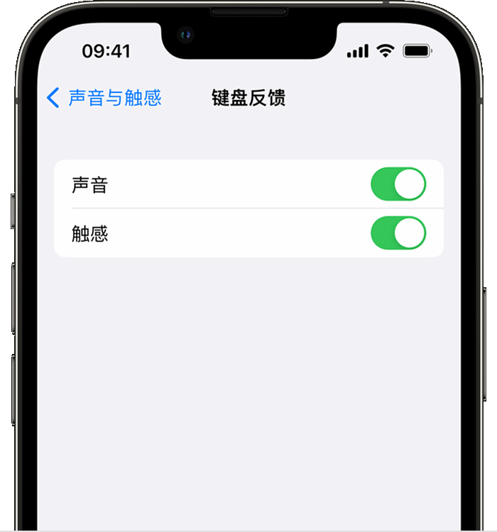 连江苹果14维修店分享如何在 iPhone 14 机型中使用触感键盘 