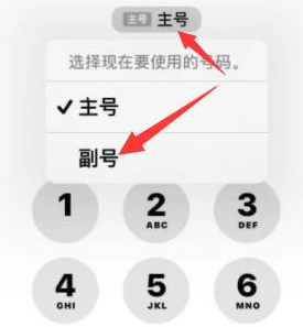 连江苹果14维修店分享iPhone 14 Pro Max使用副卡打电话的方法 