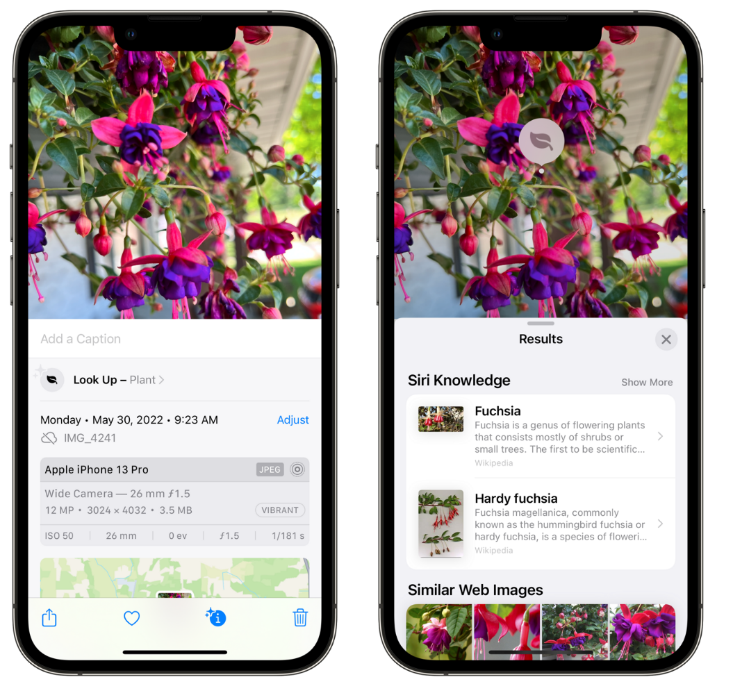 连江苹果手机维修分享小技巧：使用 iPhone 相机识别花卉植物 