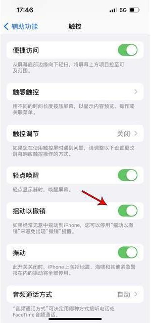 连江苹果手机维修分享iPhone手机如何设置摇一摇删除文字 